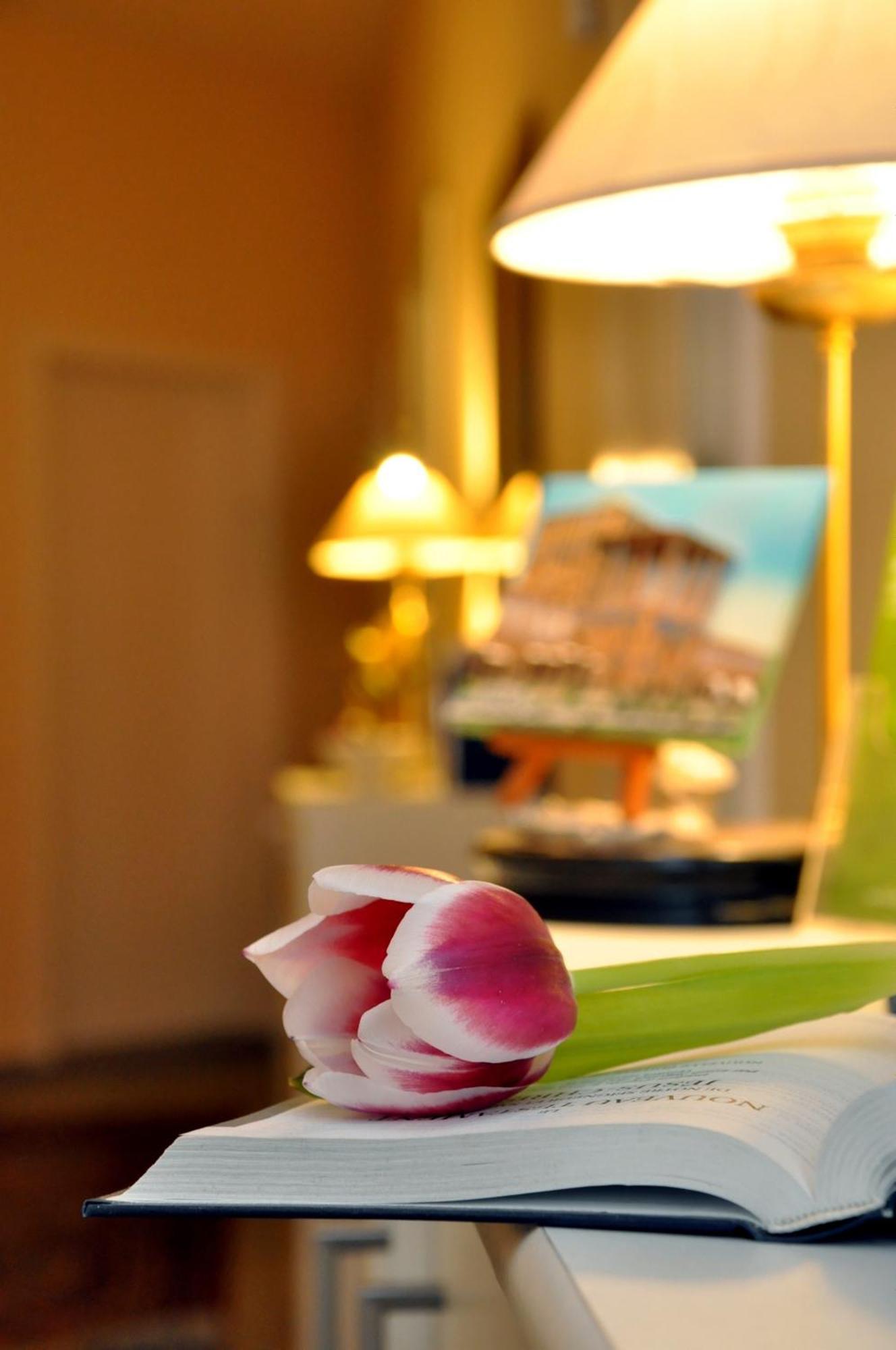 Hotel Apadana Frankfurt Frankfurt nad Menem Zewnętrze zdjęcie